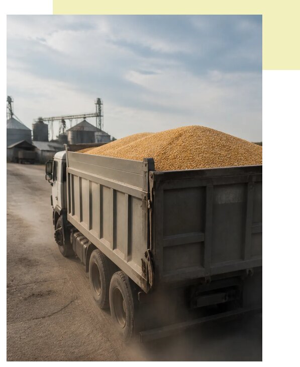 Перевозка сельхозпродукции навалом в Тару по цене от 3086 р. | Агросервис-Тар
